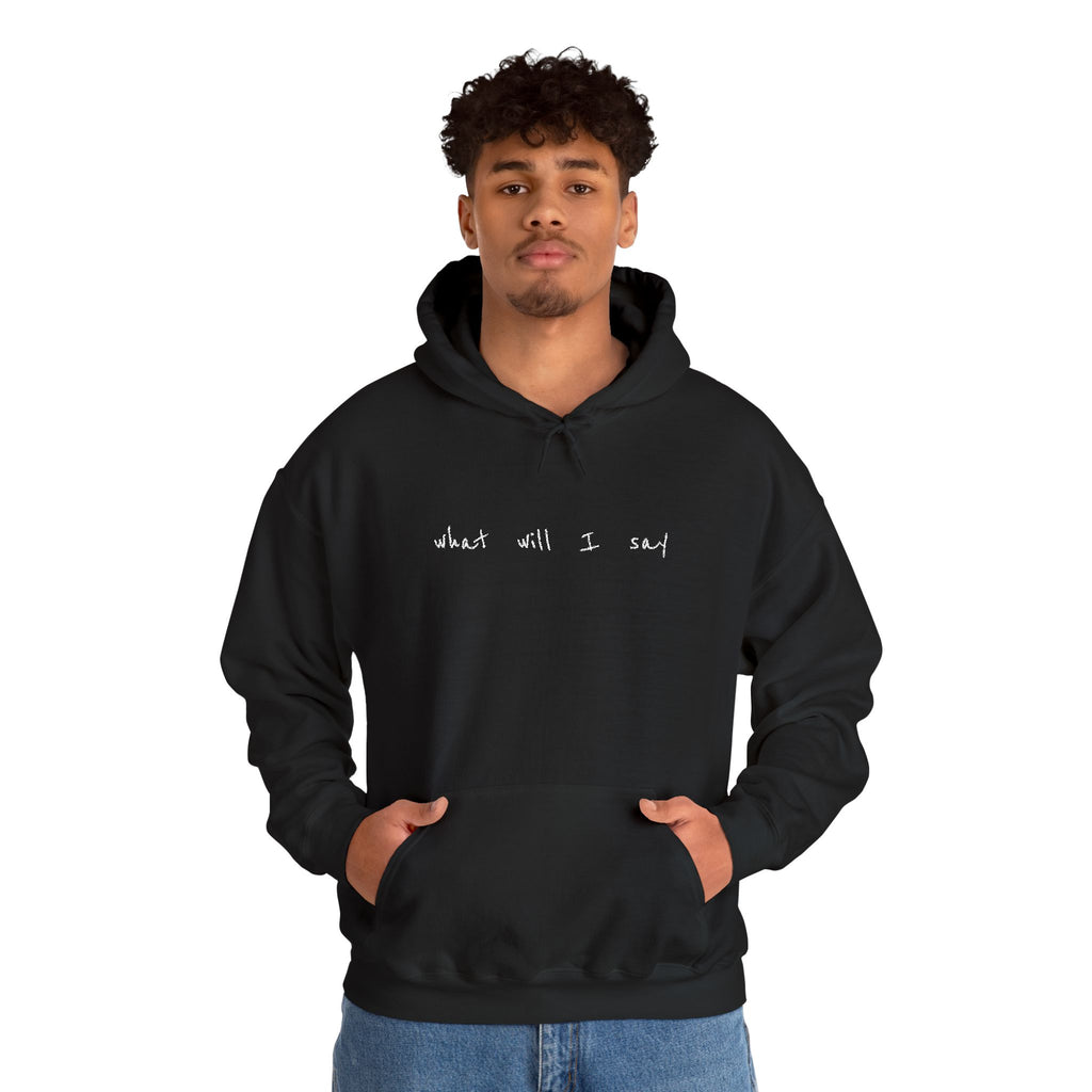 Embroidered "what will I say" Hoodie