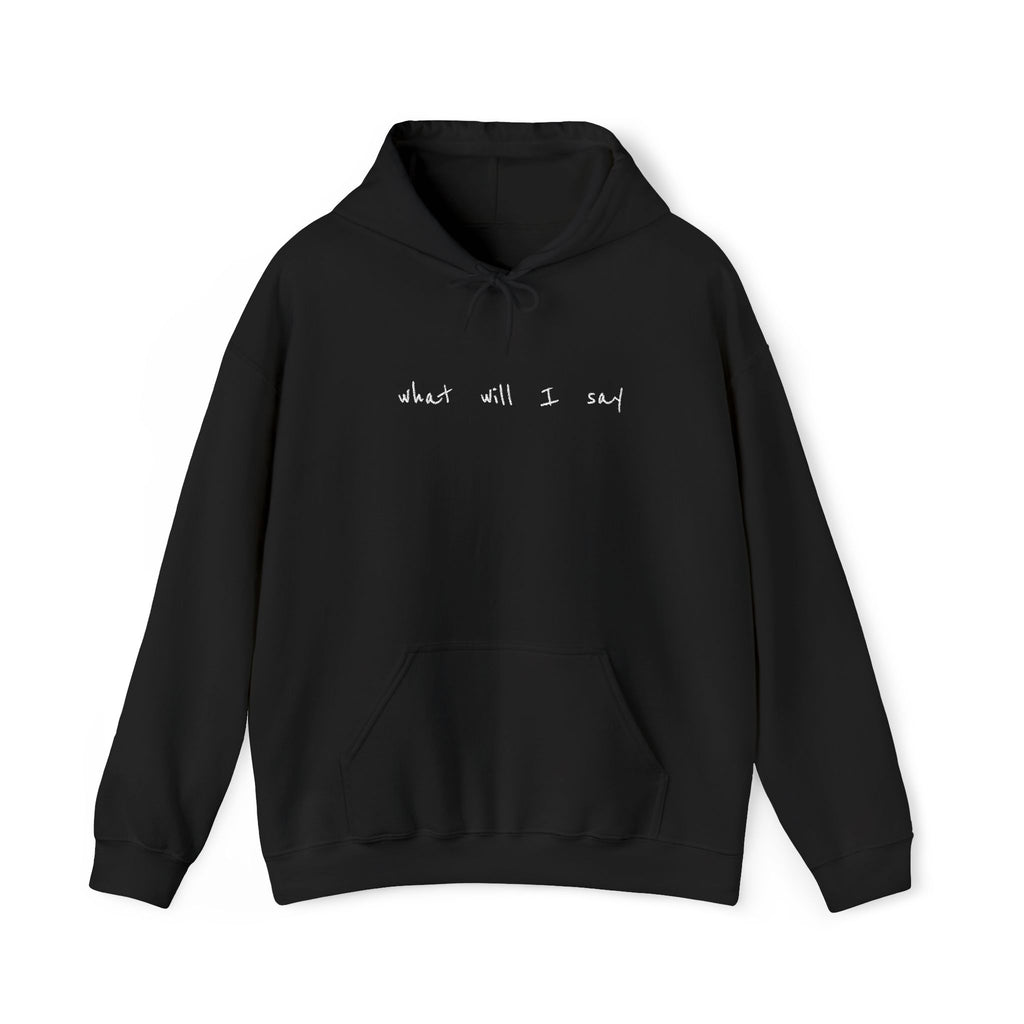 Embroidered "what will I say" Hoodie