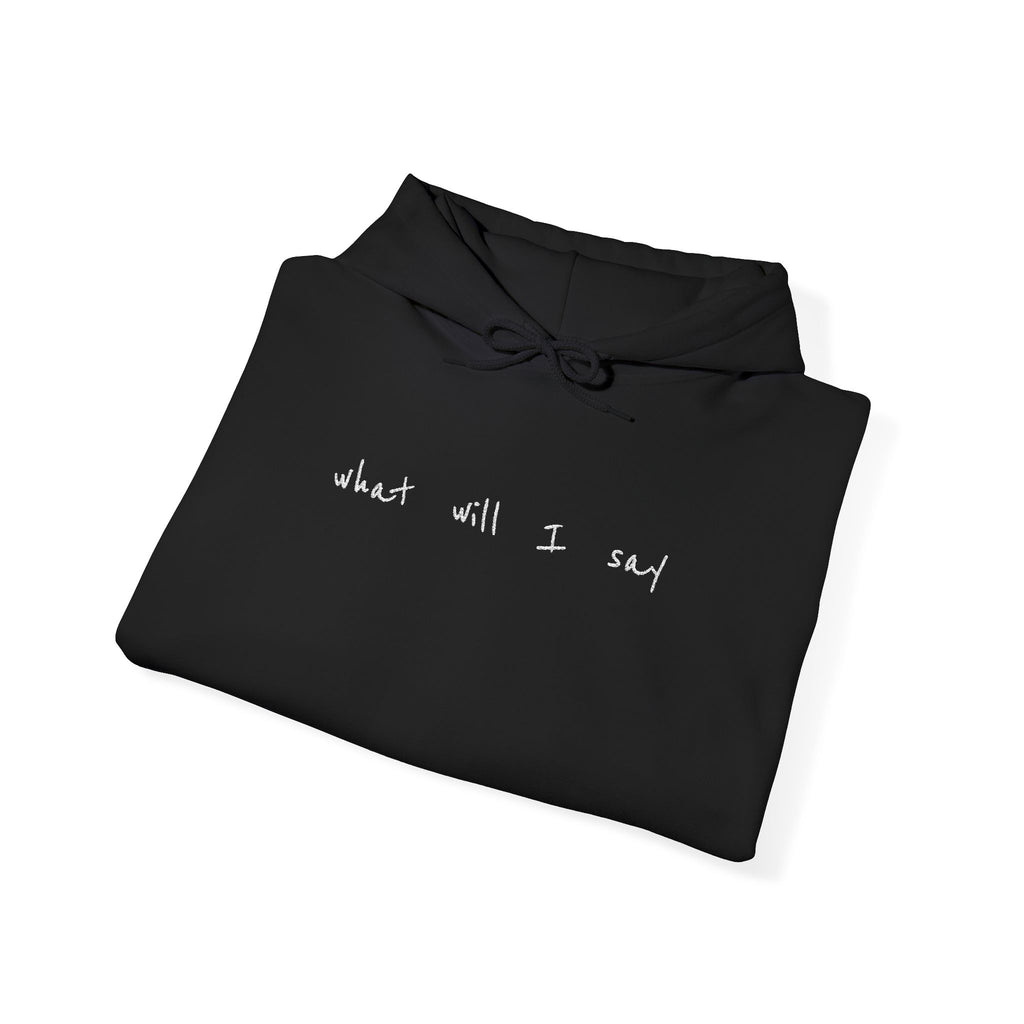 Embroidered "what will I say" Hoodie